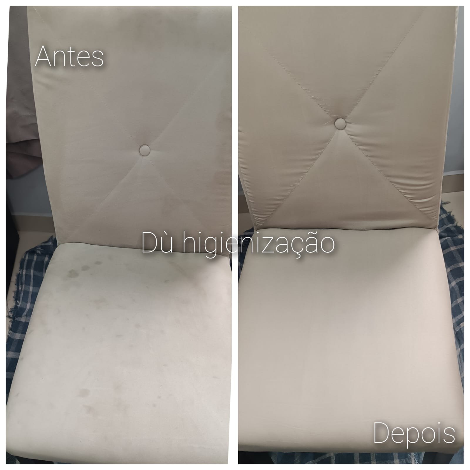 Dù higienização